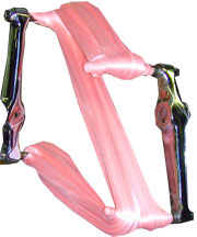 taffy.jpg